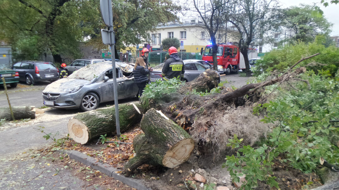 Drzewo przygniotło samochód na Woli. Strażacy w akcji Wola